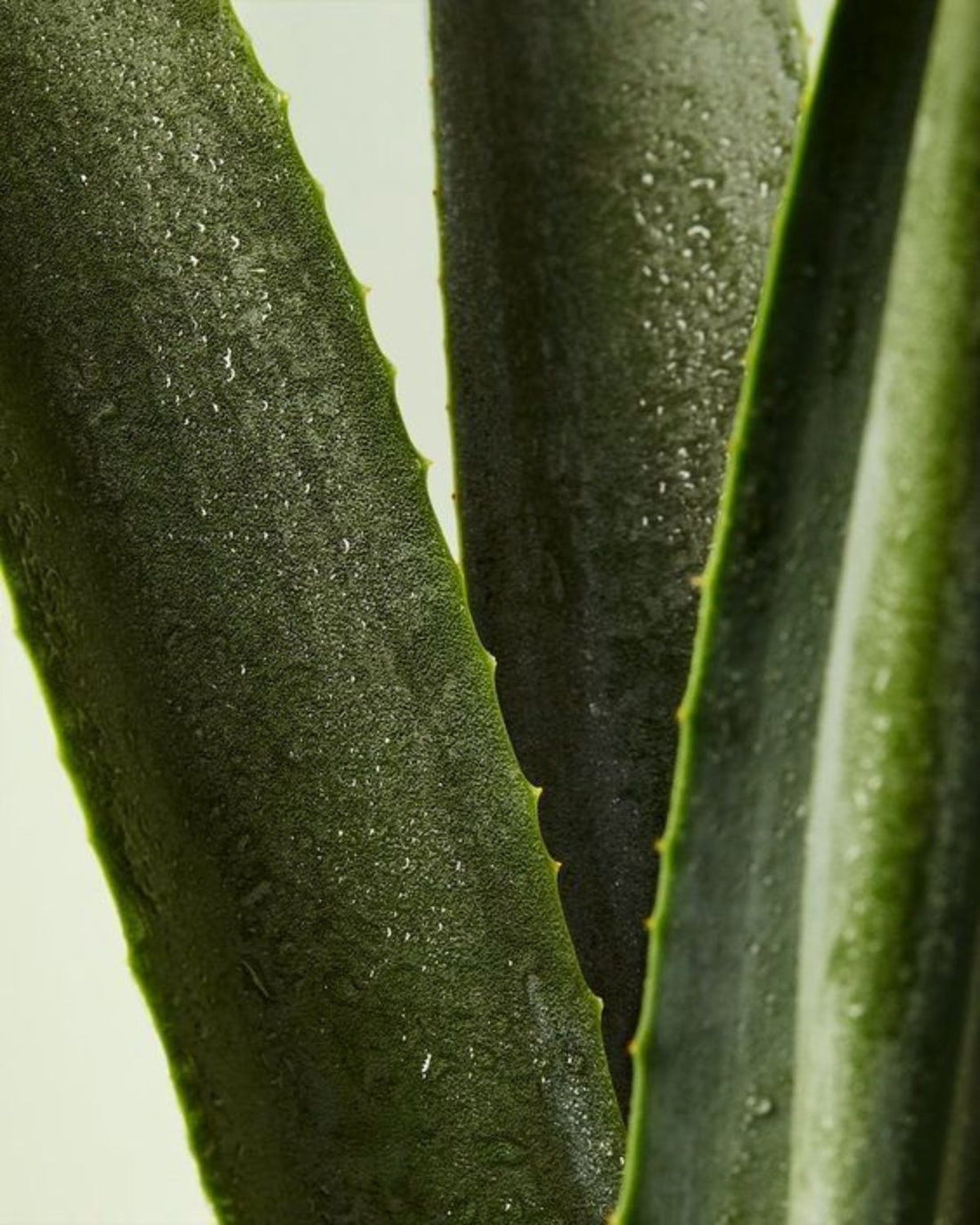What Causes Chronic Bloating When You've “Tried Everything”?